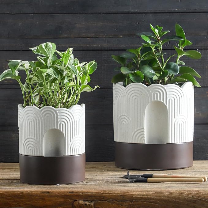 Nihow Self Watering Plant Pot: 6 Inch Ceramic Planter - Image 7