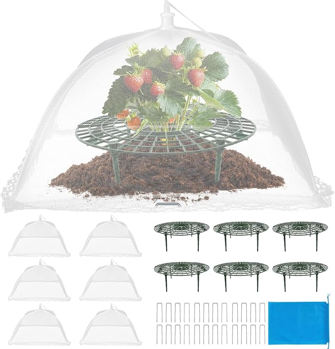 6 Sets Strawberry Plant Support by Unknown
