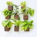LaLaGreen Wood Planter Boxes for Plants Small Square Wall Mounted Planters for by L%C3%A1L%C3%A1Green