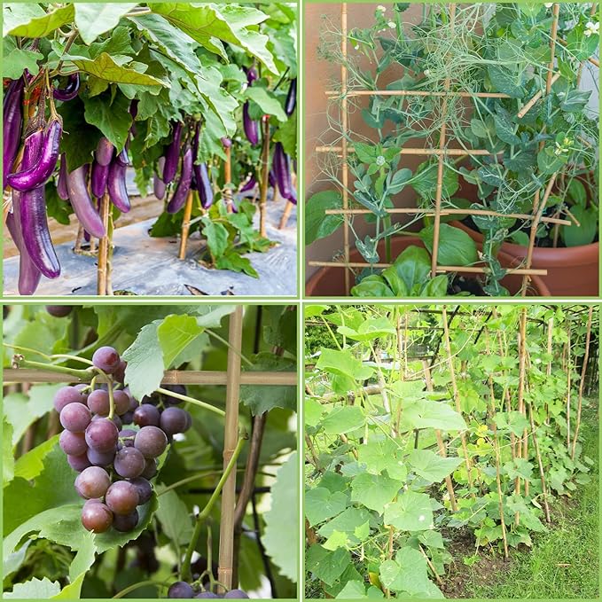 Plant Stakes, 4.8FT Longer Sturdy Natural Bamboo Garden Stakes, GAGINANG 20Pcs - Image 6