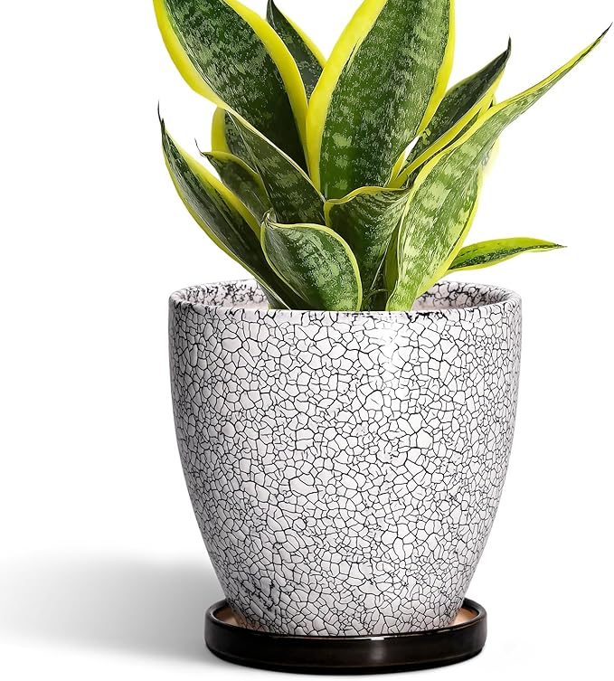 Ceramic Plant Pots by EPFamily