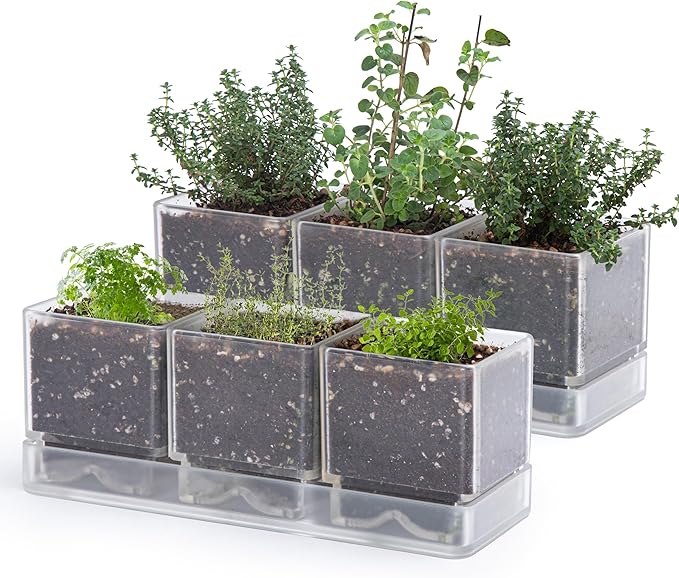 D'vine Dev Herb Garden Planter Set, Plastic Plant Pots by DvineDevPlanterPotsandStand