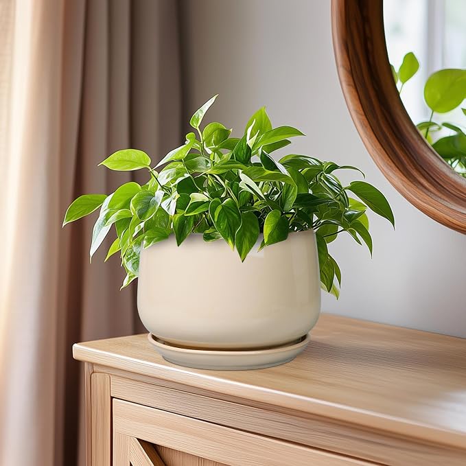 G EPGardening Ceramic Pot for Plants - Image 7