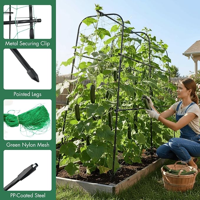 Cucumber Trellis Arch 5.3FT Black PP Coated Stainless Steel Garden Arch Trellis - Image 6