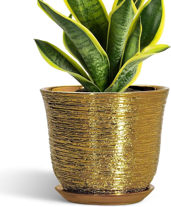 Ceramic Plant Pots by SUNPOTFOR
