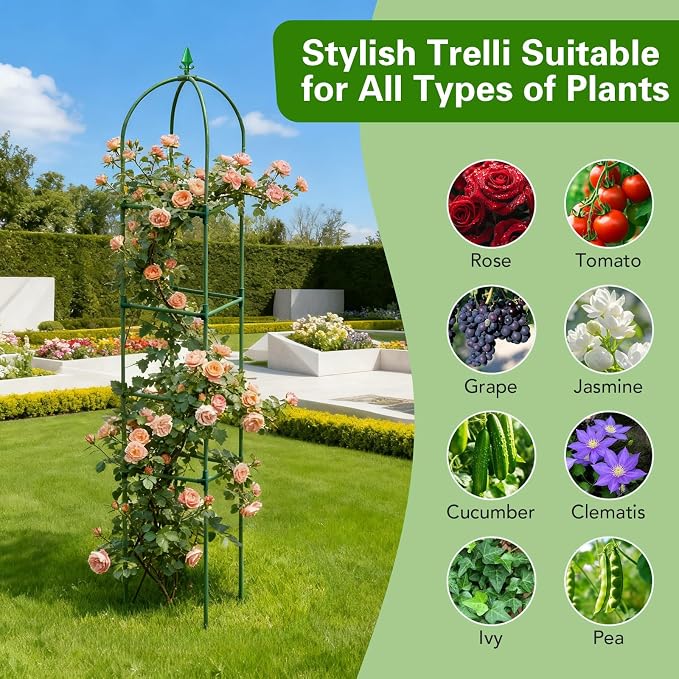 2 Pack Garden Obelisk Trellis for Climbing Plants, Tower Potted Cages Plant - Image 5