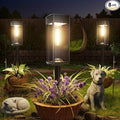 Solar Pathway Lights Outdoor, 8 Pack Bright Solar Lights Outdoor, Auto On/Off by Professionalproductionofsolarlightsoutdoor%EF%BC%9A%EF%BC%89