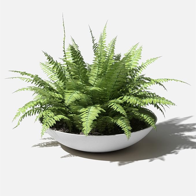 Veradek Mason Series Lane Bowl Planter| - Image 8