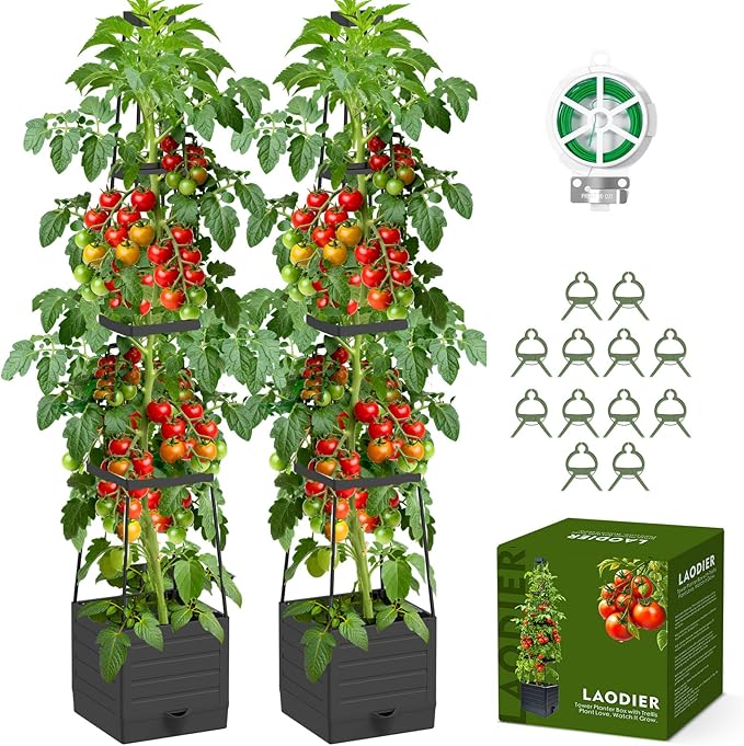 2 Pack Raised Garden Bed Tomato Planter by Laodier