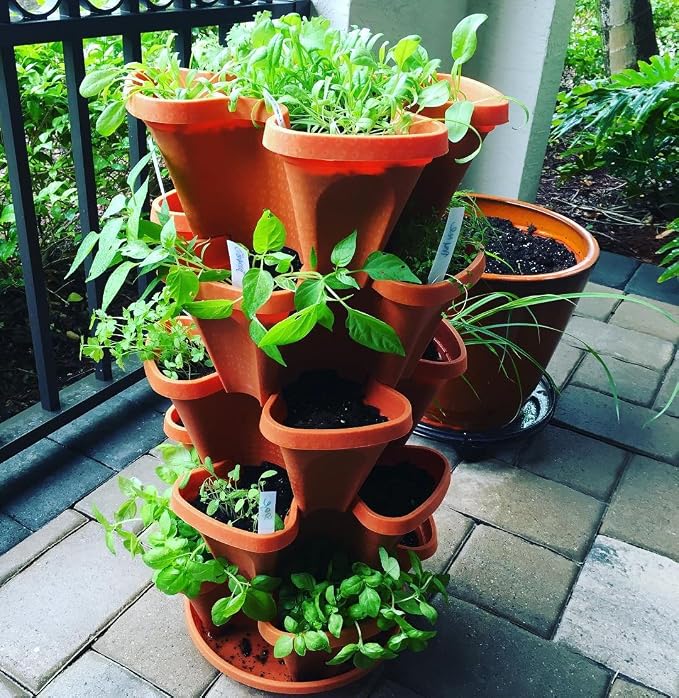 5 Tier Stackable Strawberry, and Vegetable Planter - Image 3
