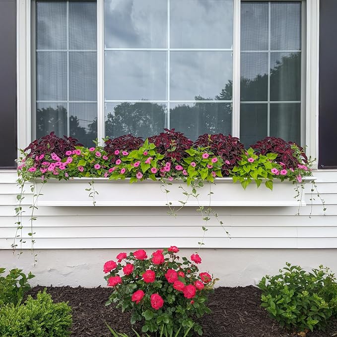 Mayne Yorkshire 7ft Window Box - Image 4