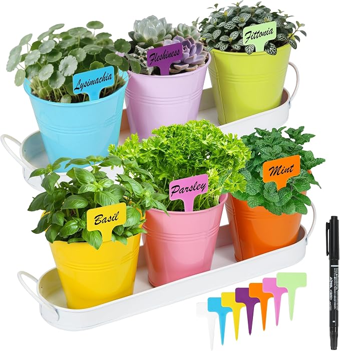 Herb Garden Planter Indoor Kit – 6 Metal Pots by Wacloud