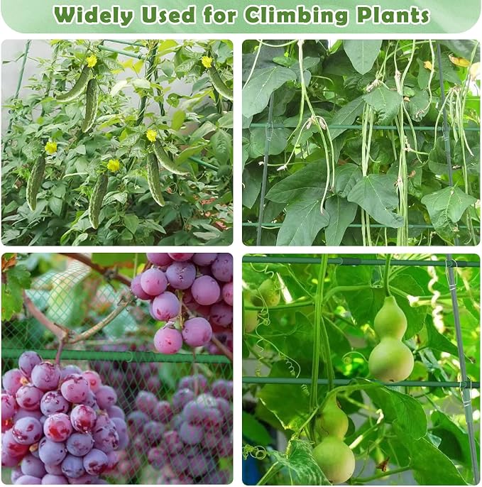 Cucumber Trellis for Raised Beds, 63 x 45 Inch U-Shaped Garden Trellis for - Image 6