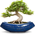 Bonsai Pots - 18 Inch Large Ceramic Succulent Pots by Teagas