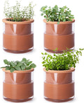 Phoenix Vine 4 Inch Self Watering Plants Pot, Design Terracotta Pot by Phoenix+Vine
