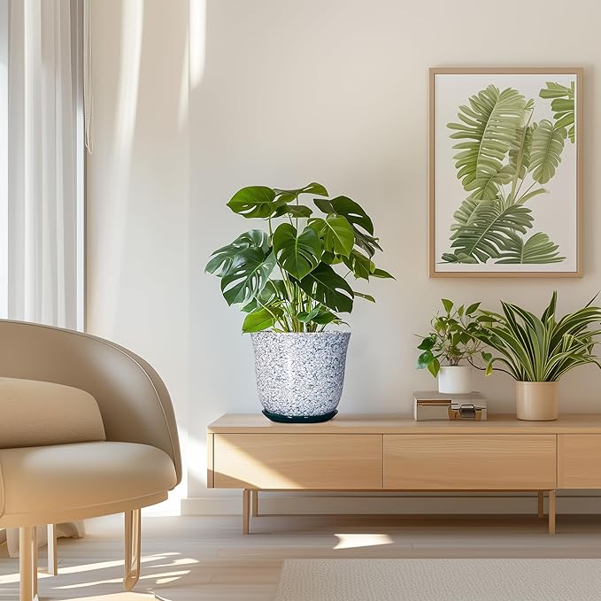 Ceramic Pots for Plants - Image 7