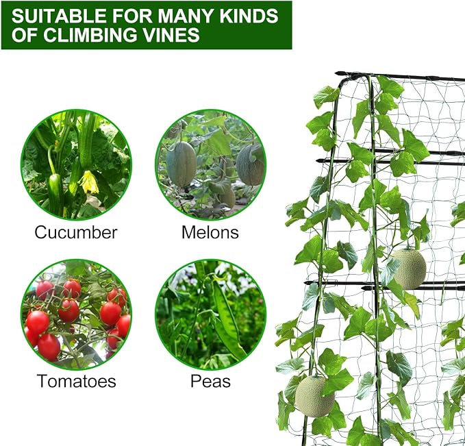 Cucumber Trellis for Raised Bed, 5x5ft Metal Garden Trellis Climbing Plants - Image 4
