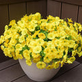 Artificial Flowers for Outdoors, UV Resistant Fake Silk Morning Glory, by maxkes