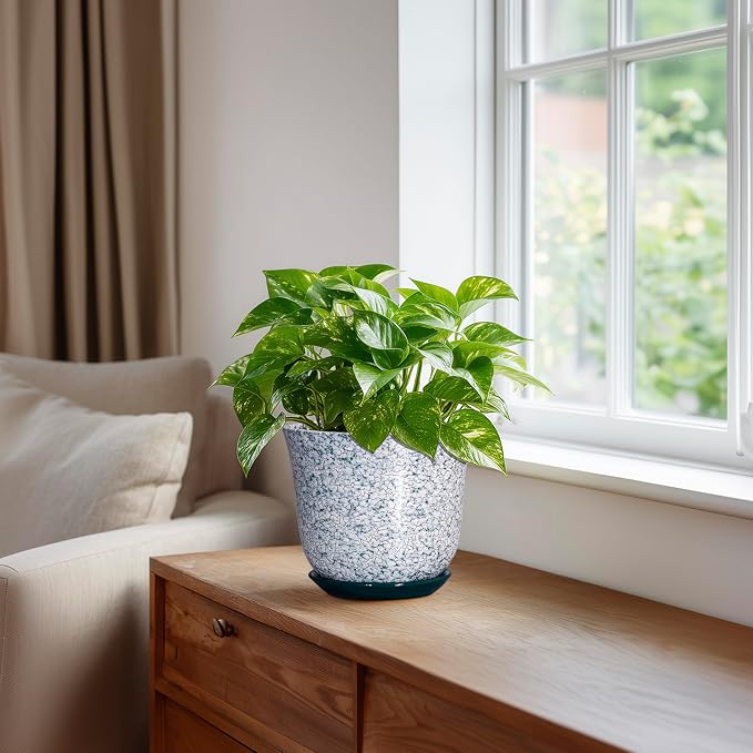 5.6 Inch Plant Pot - Image 5