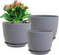12/10/9 inch Large Plant Pots, 3 Pack Modern Decorative Plastic Planters by WSMKSZ