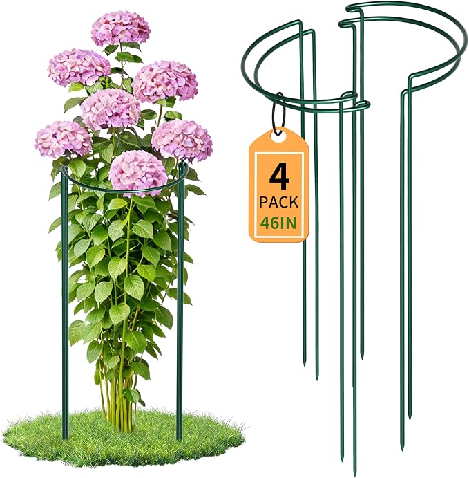 Garden Plant Support Cagess, High Heavy Duty Interlinked Half Round Peony by TCBWFY