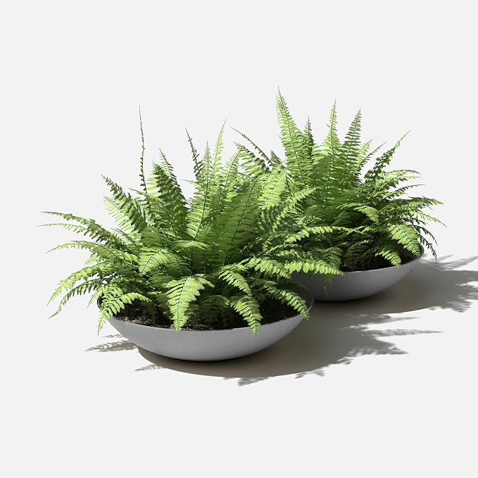 Veradek Mason Series Lane Bowl Planter| - Image 8
