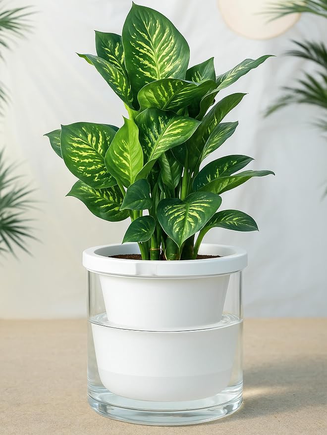 D'vine Dev 10 Inch Design Self Watering Planter - Image 2