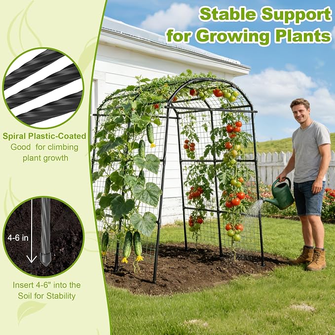 Miory Garden Arch Trellis for Climbing Plants Outdoor, Metal Plants Support - Image 5