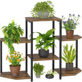 Plant Stand Indoor, 6 Potted Plant Stand, 6 Tiers Large Flower Holder, Planter by Asgolion