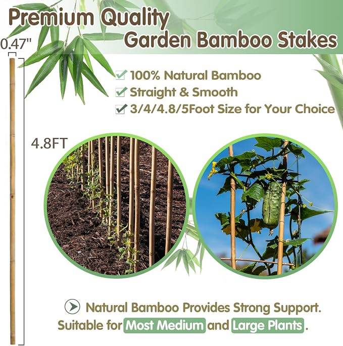 Bamboo Stakes, 4.8FT Natural Bamboo Garden Stakes, BOVITRO 20Pcs Plant Stakes - Image 3