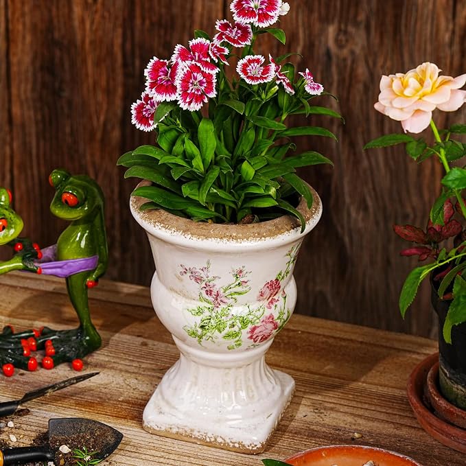 Sungmor Small Ceramic Urn Planter - Image 6