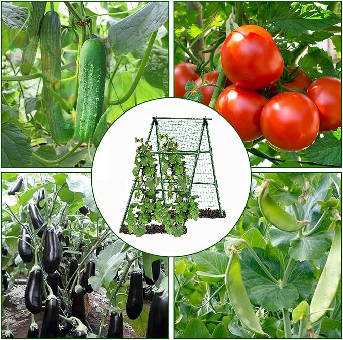 A-Frame Metal Garden Trellis Set - Image 4