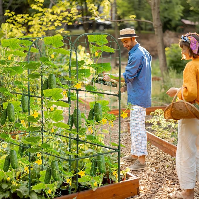 Cucumber Trellis for Raised Bed 50 x 34 Inch U-Shape Garden Trellis for - Image 8