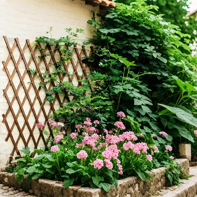 Expandable Garden Trellis - Image 2