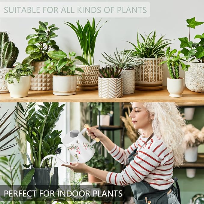 Watering Can Indoor Plants, 35oz Small Stainless Steel Metal Watering Can - Image 5