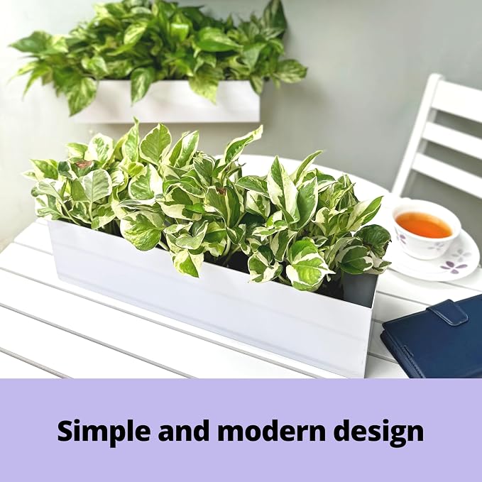 LaLaGreen Wall Planter Carbon Steel White Metal Hanging Flower Pot - Image 7