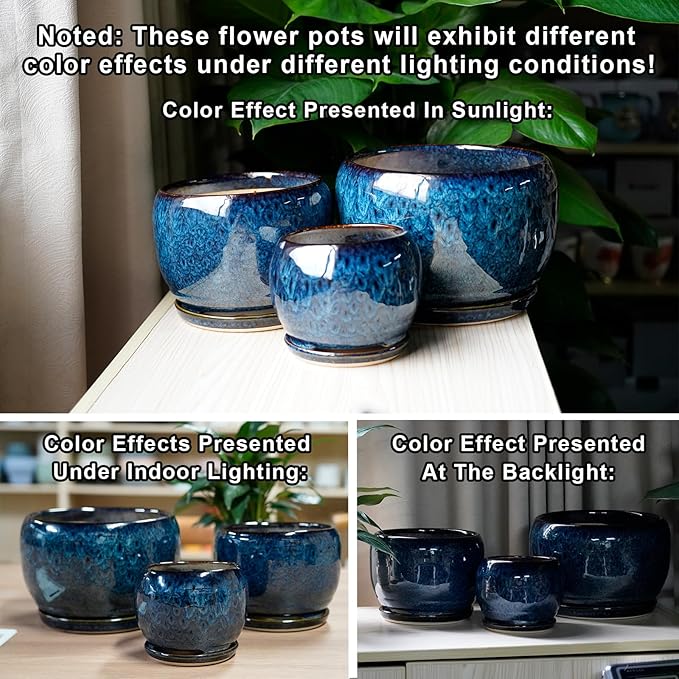 SQOWL Ceramic Planter 8 Inch - Image 5