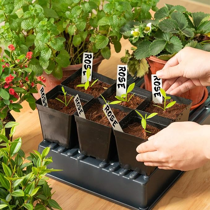 June Fox Square Nursery Pots 3.3 Inches Flexible Plastic Seedling Pots Square - Image 6