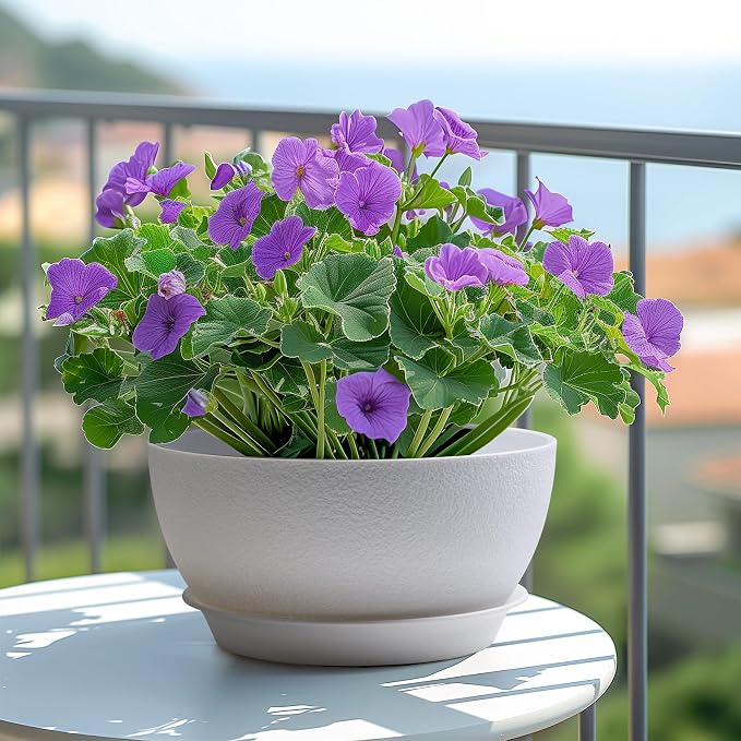 T4U 8 Inch Plant Pots, Plastic Planters - Image 4