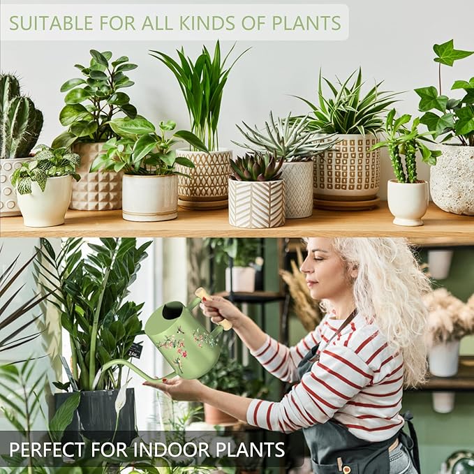 Watering Can Indoor Plants, 35oz Small Stainless Steel Metal Watering Can - Image 5