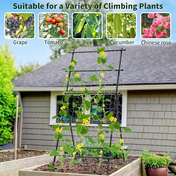Garden Trellis for Climbing Plants, 6ft Cucumber Trellis for Raised Bed - Image 2