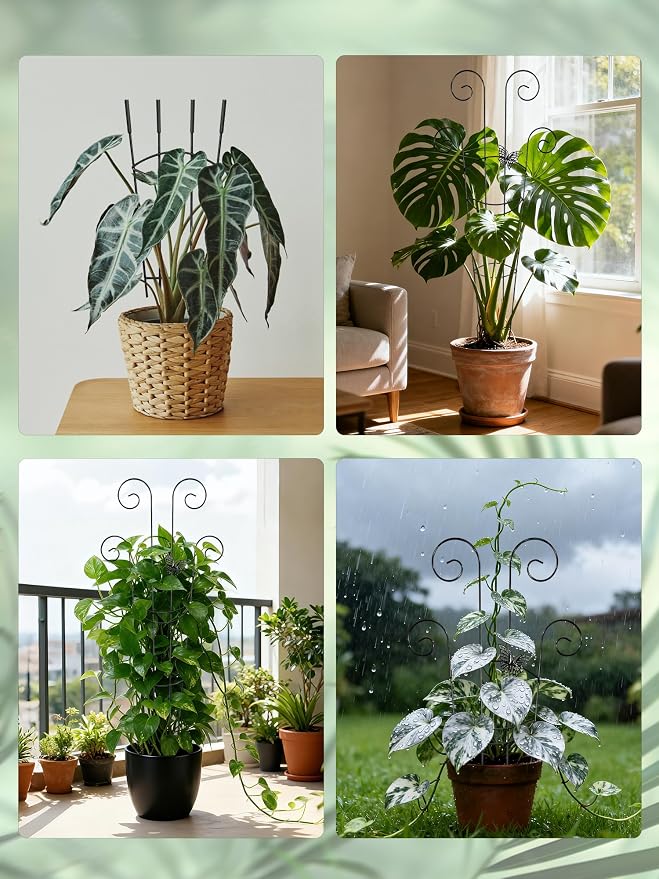 2 Pcs Tall Trellis for Potted Plants, Plant Pothos Climber Support for Monstera - Image 7