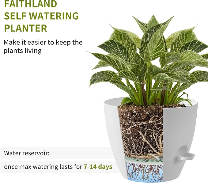 FaithLand 3-Pack Planter Pots, 10 9 8 Inch Self Watering Flower Pots - Image 4