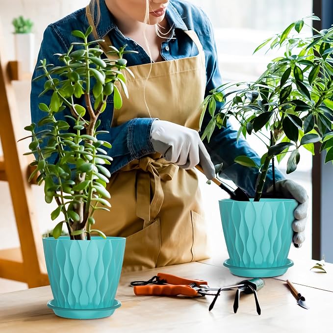 6 Pack 6 Inch Indoor Plant Pots - Image 7