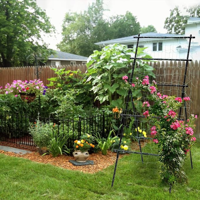 Lalahoni Cucumber Trellis, 6ft Tall Metal Garden Trellis - Image 3