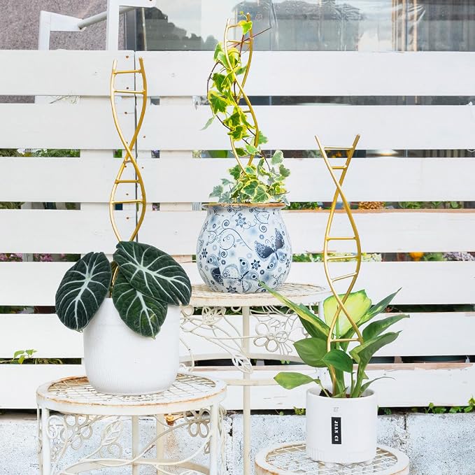 3PCS DNA Plant Trellis Indoor and Outdoor - Image 4
