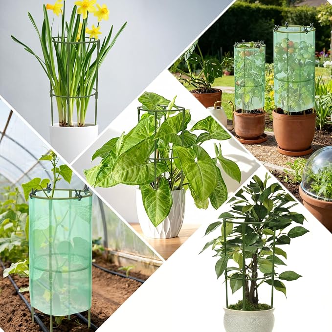 17.7" H Plant Support Stake Cage, Round Plant Support Garden Flower Stakes - Image 6
