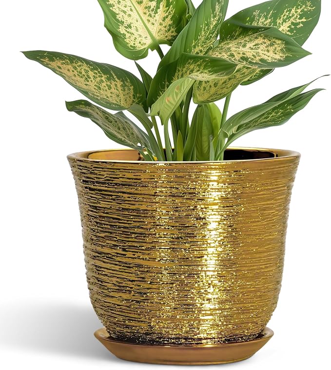 5.6 Inch Plant Pot by SUNPOTFOR