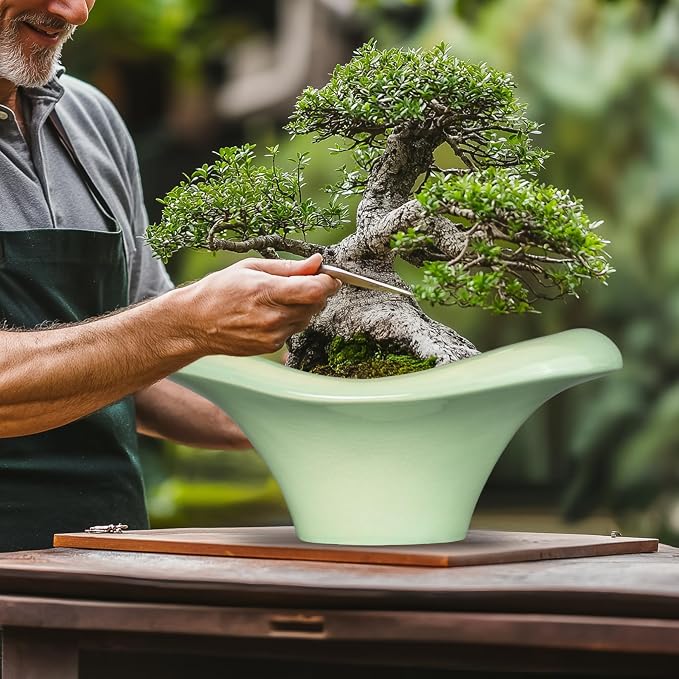 Ceramic Bonsai Pots - Image 4