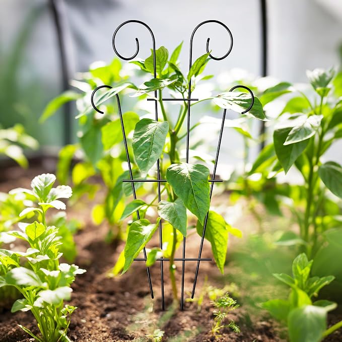 4 Pack 23'' Indoor Plant Trellis - Image 4